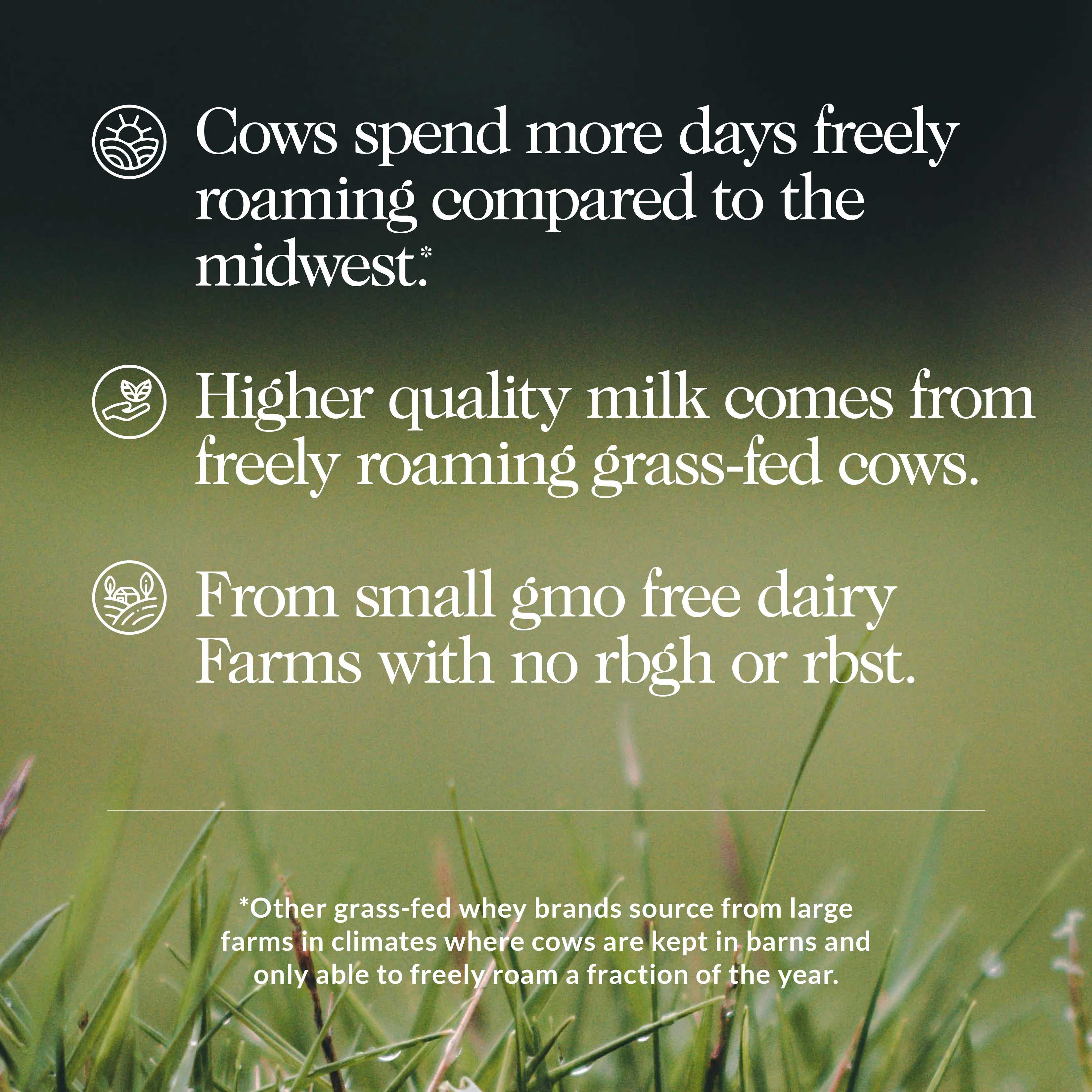 Vanilla Mass Gainer Protein Supplement | Naked Vanilla Mass - 8LB - Image 4